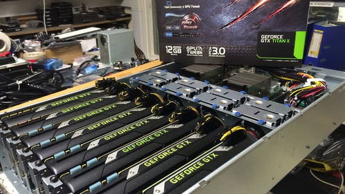 A setup of a mining rig in a professional hosting facility