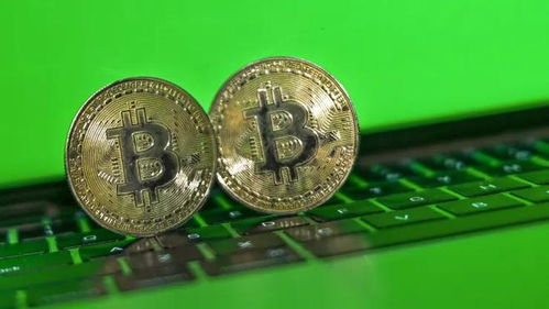 Bitcoin mining farm illustrating scale and power